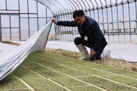 日々の米づくり