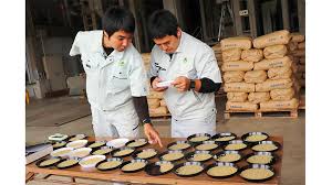 日々の米づくり